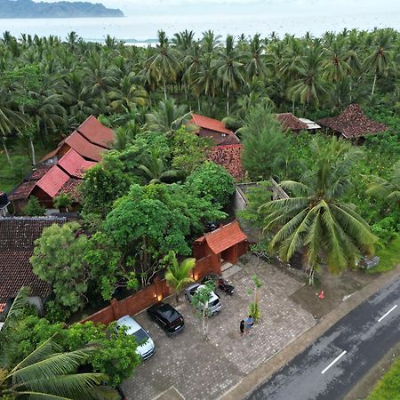 Java Turtle Lodge Meru Betiri Banyuwangi  Exterior photo