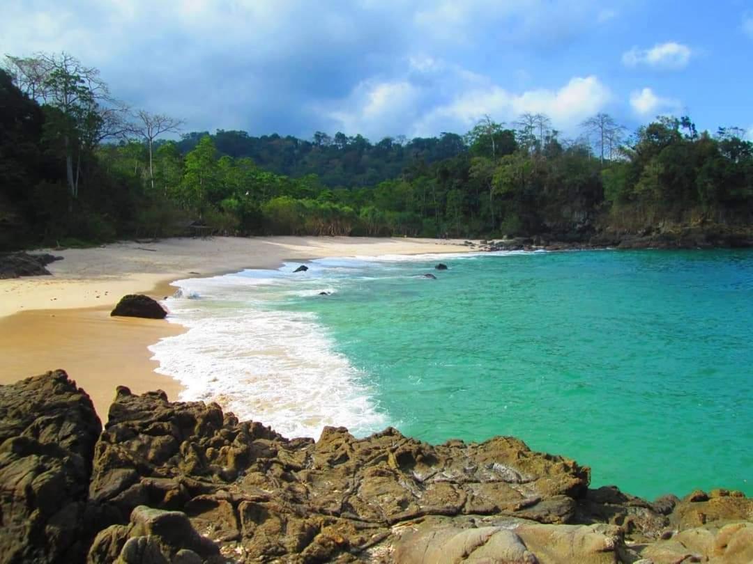 Java Turtle Lodge Meru Betiri Banyuwangi  Exterior photo