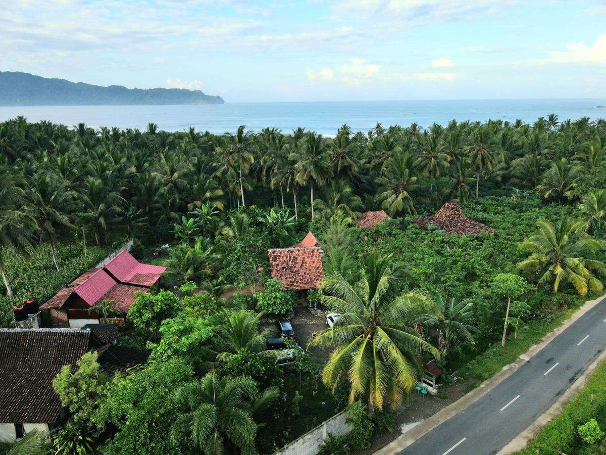 Java Turtle Lodge Meru Betiri Banyuwangi  Exterior photo