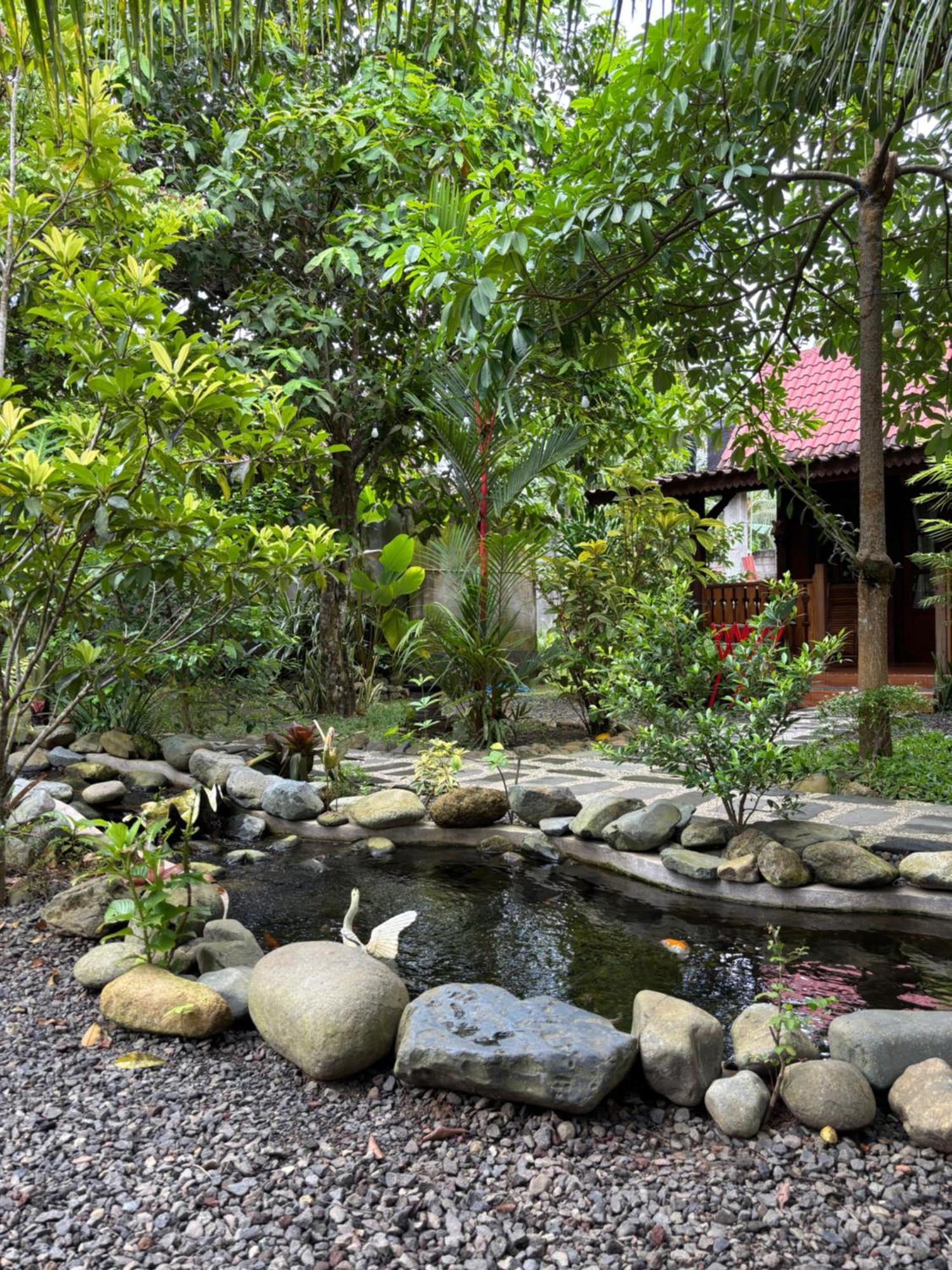 Java Turtle Lodge Meru Betiri Banyuwangi  Exterior photo