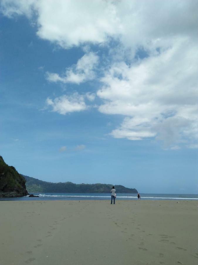 Java Turtle Lodge Meru Betiri Banyuwangi  Exterior photo