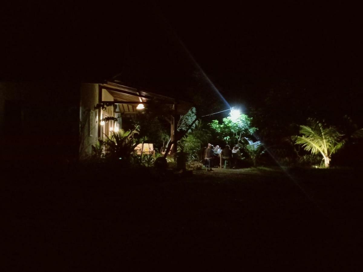 Java Turtle Lodge Meru Betiri Banyuwangi  Exterior photo