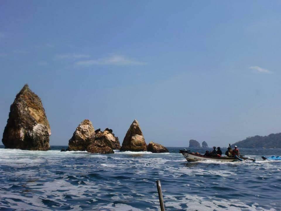 Java Turtle Lodge Meru Betiri Banyuwangi  Exterior photo